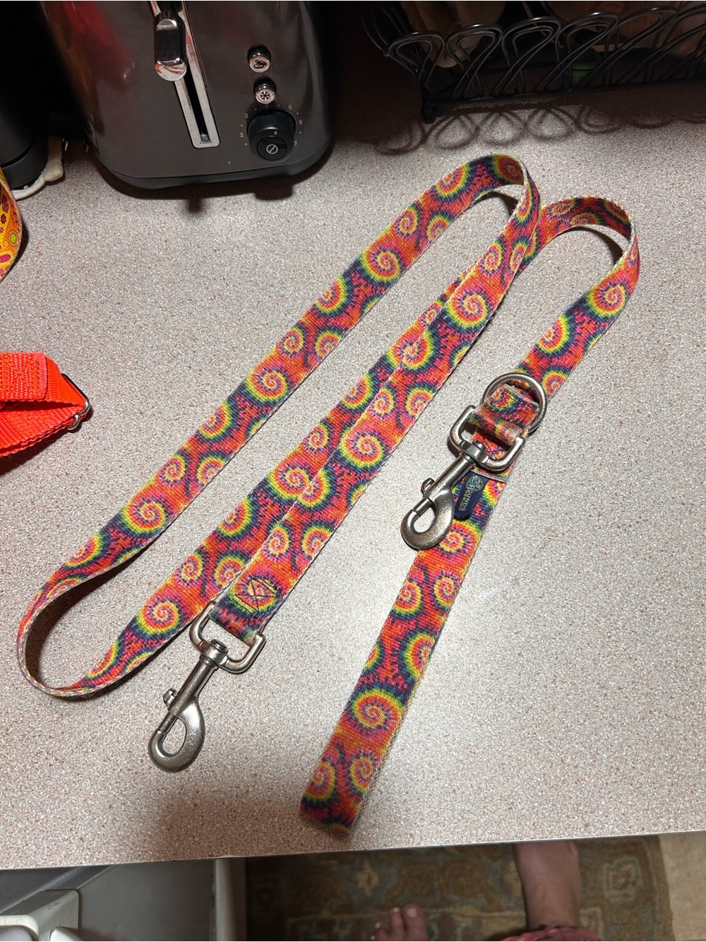 Multicolor Spiral Pattern Dog Leash - Vibrant Tie-Dye Style